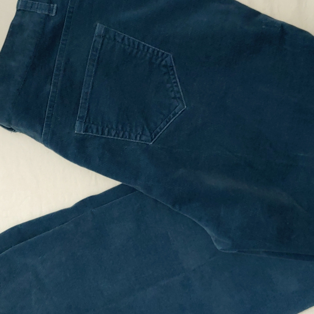 Land's End Velour Pants